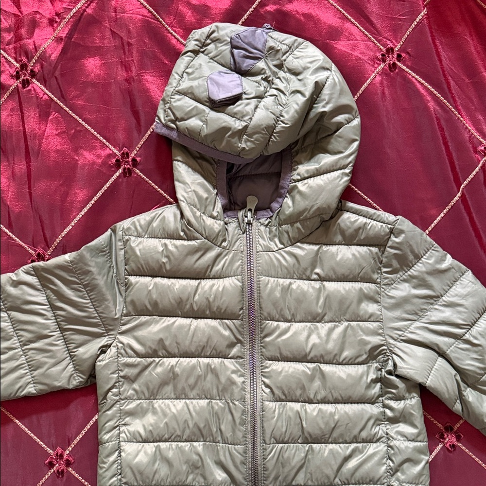 Toddler gap dinosaur Puffer Jacket with Hood